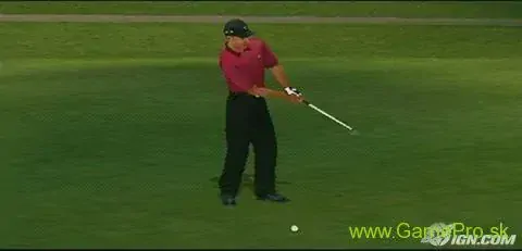 Tiger Woods PGA Tour 06 (PSP)