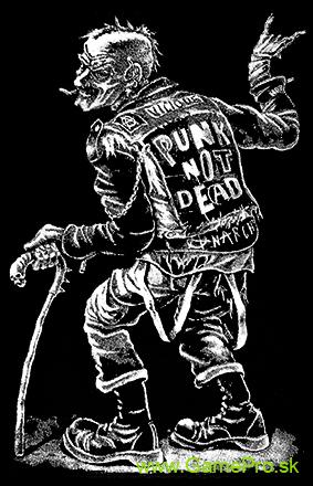 Old Punk is Still Alive (vlajka)