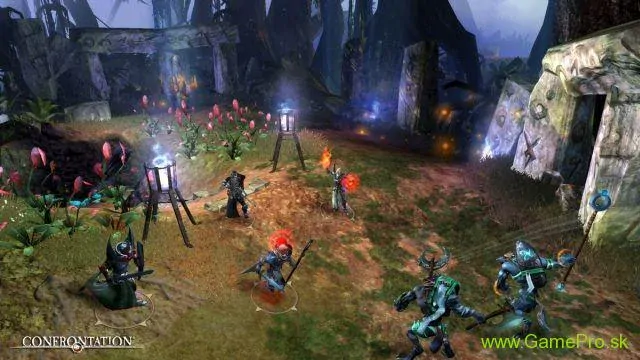 Confrontation CZ (PC)