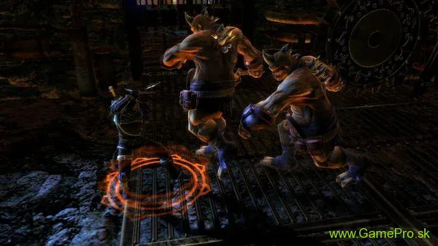 Dungeon Siege 3 (PS3)