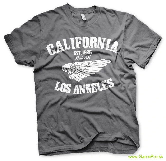 Route 66 California (T-Shirt)
