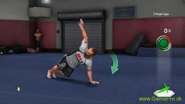 UFC Personal Trainer (PS3)