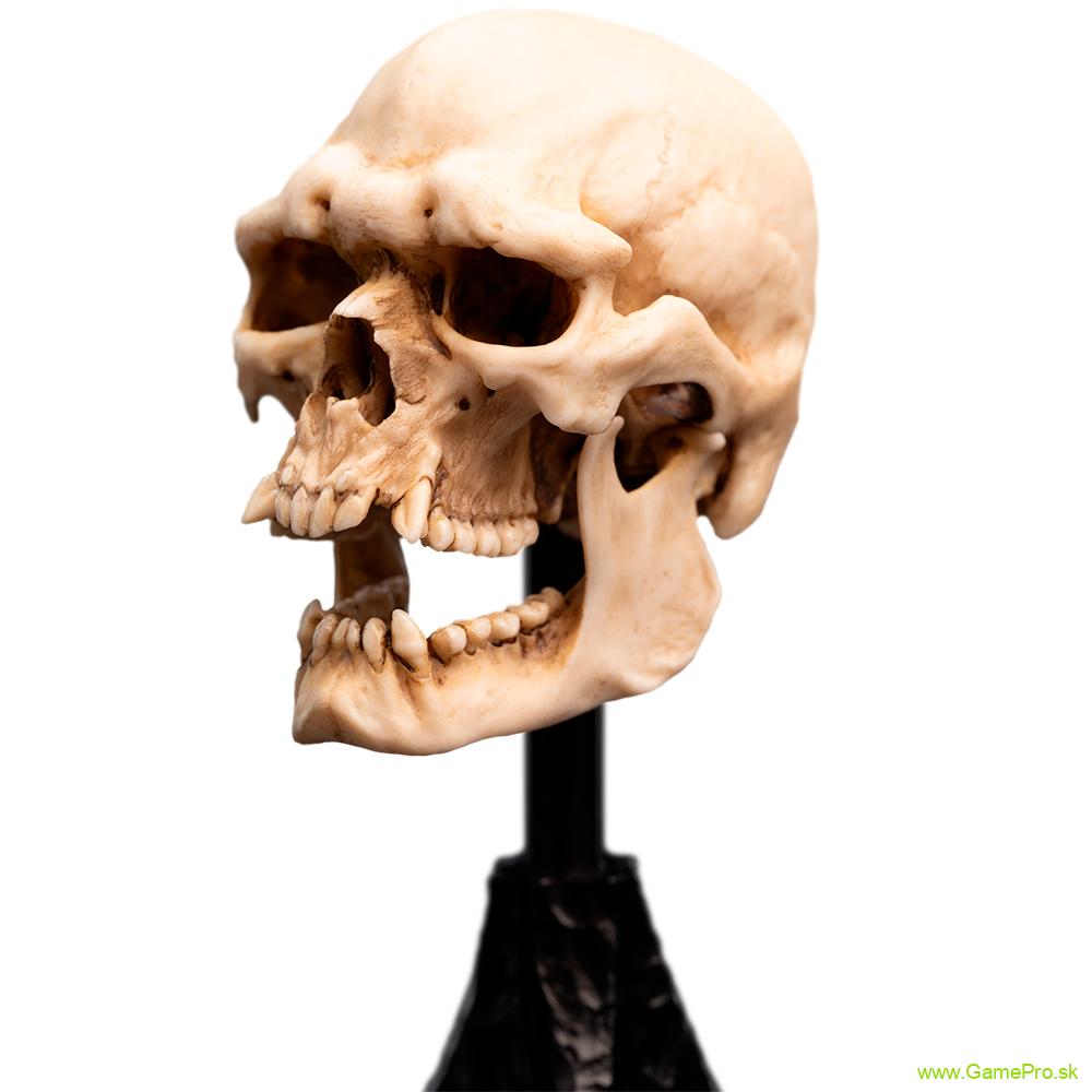Lord of the Rings Miniature Skull of a Mordor Orc 15 cm
