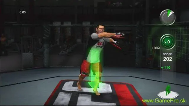UFC Personal Trainer (PS3)