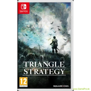 TRIANGLE STRATEGY (NSW)