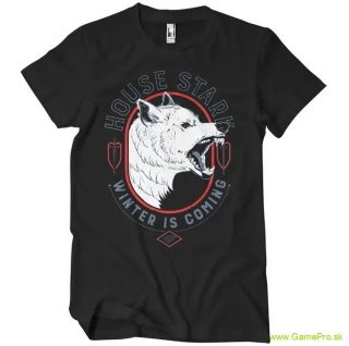 House Stark Winter Is Coming (T-Shirt)