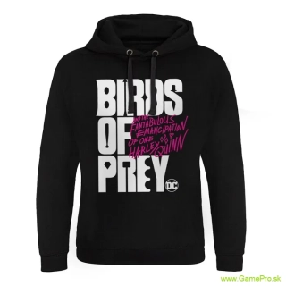 Birds Of Prey Hoodie Logo