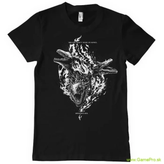 House Of The Dragon Dreams Didnt Make Us Kings (T-Shirt)