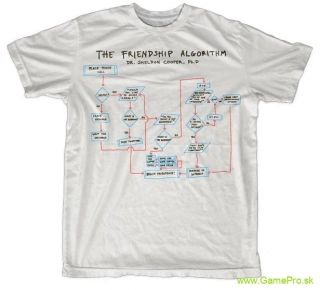 Big Bang Theory Friendship Algorithm (T-Shirt)