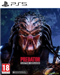 Predator - Hunting Grounds (PS5)
