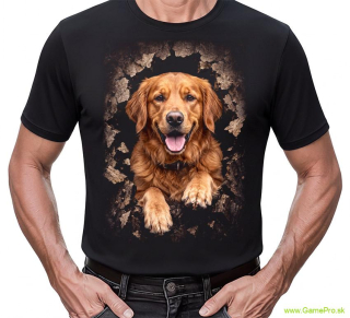 Animal Collection - Golden Retriever (tričko)